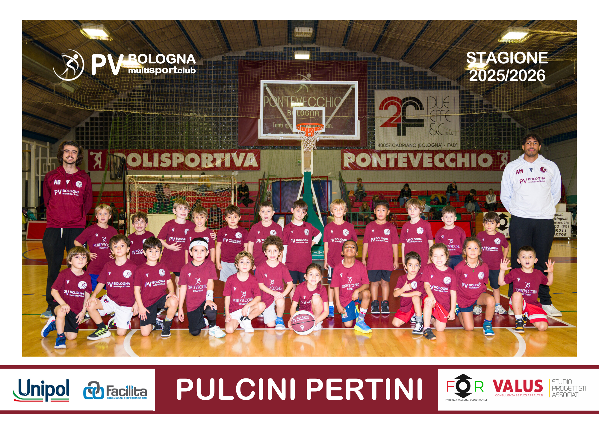 pulcini pertini